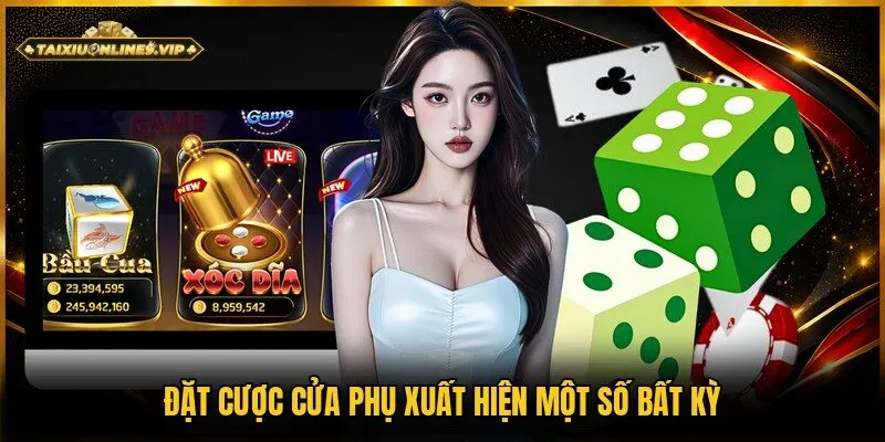 Người chơi chọn một mặt số cụ thể từ 1 đến 6 để đặt cược