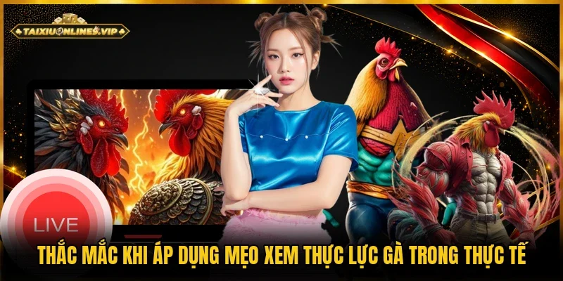 Giải đáp những câu hỏi về việc dùng mẹo xem phong độ gà